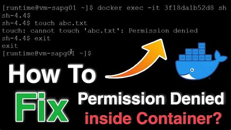 Checking if. . Docker container file permission denied